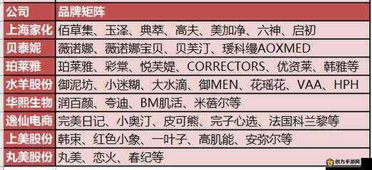 成品网源码 78w78 独特特点：功能强大且极具创新性